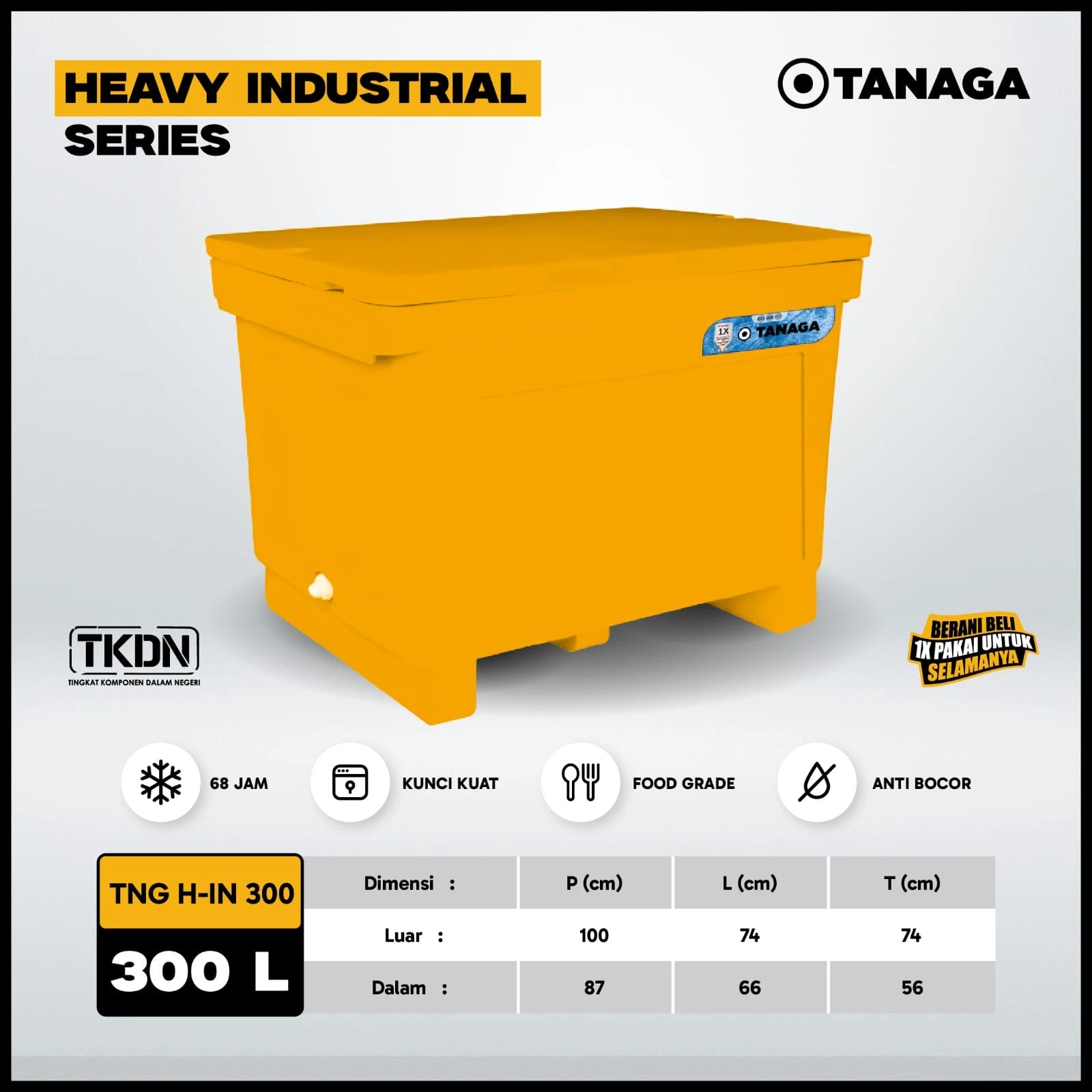 TNG H-IN 300
